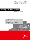 Concertino in e minor, op. 47
